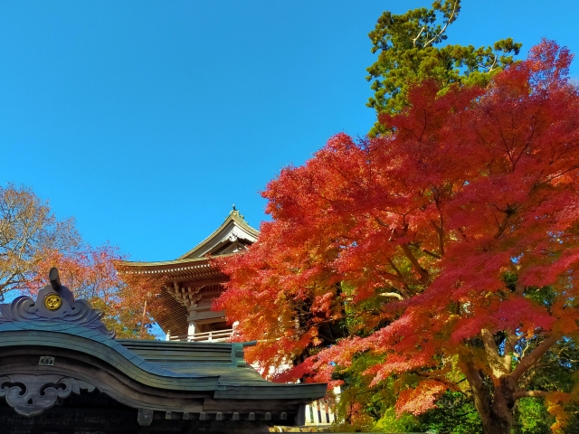 高尾山の紅葉と薬王院