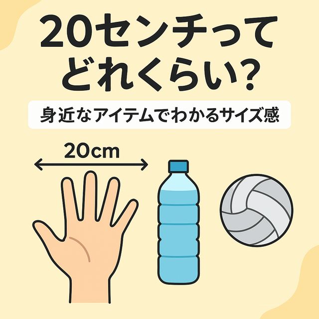 20センチってどれくらい？身近なアイテムでわかるサイズ感