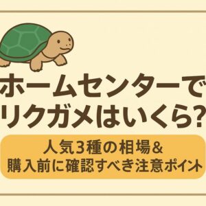 ホームセンターでリクガメはいくら？人気3種の相場＆購入前に確認すべき注意ポイント